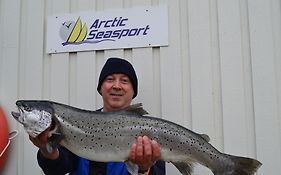 Arctic Seasport